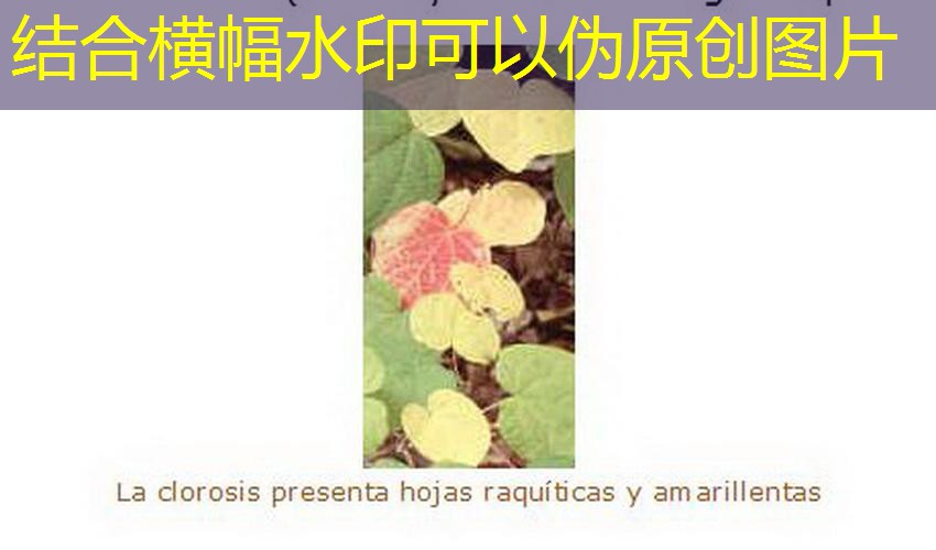 betos sushi bar betos sushi bar