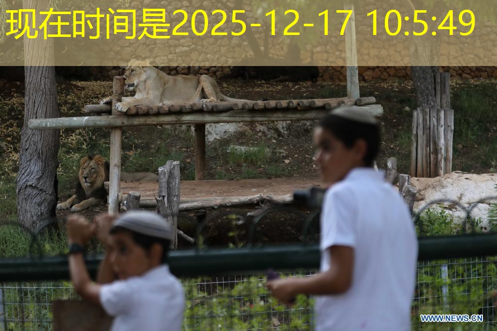 plataforma express bet plataforma express bet