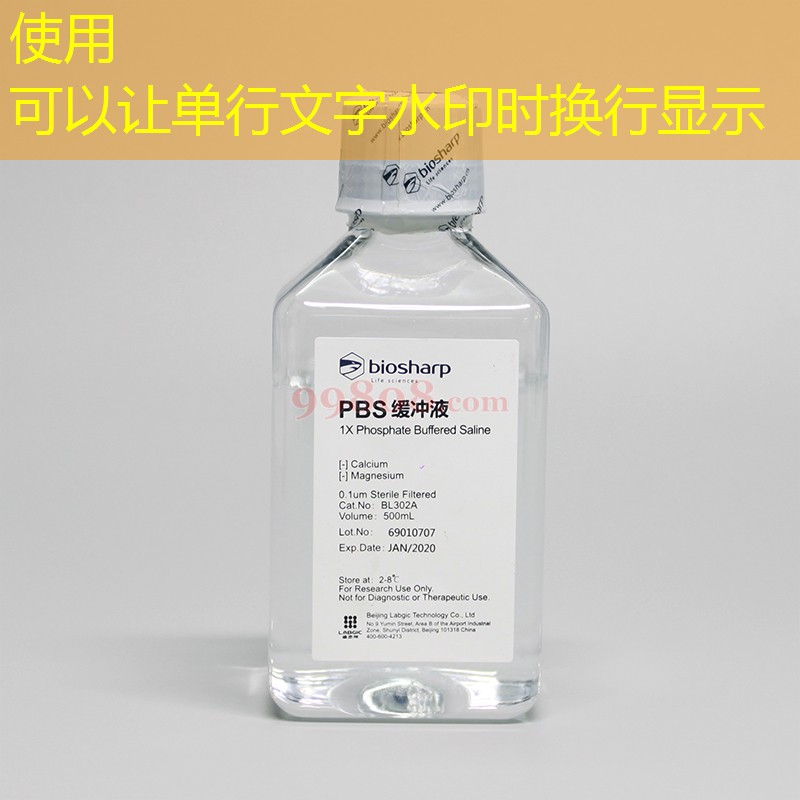 a cantora elizangela no cassino do chacrinha