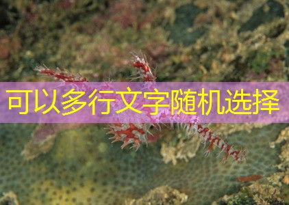 5h bet baixar 5h bet baixar